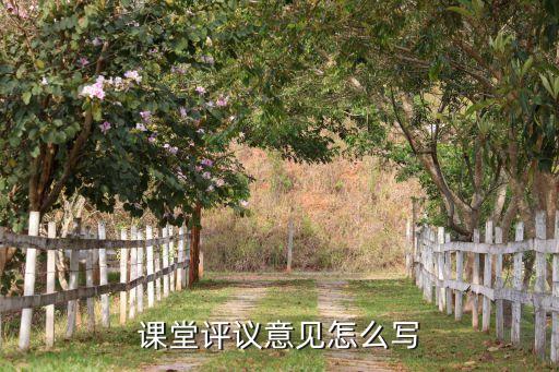 课堂评议意见怎么写