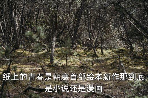 纸上的青春是韩寒首部绘本新作那到底是小说还是漫画