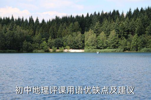 教案评价优缺点用语怎么写初中生，教学设计评价优缺点用语