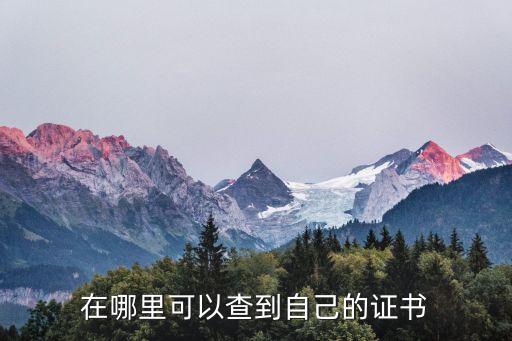 在哪里可以查到自己的证书