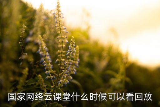 国家网络云课堂什么时候可以看回放