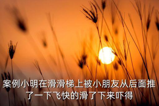 案例小明在滑滑梯上被小朋友从后面推了一下飞快的滑了下来吓得