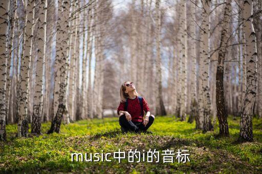 music中的i的音标
