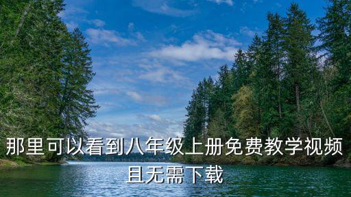 那里可以看到八年级上册免费教学视频且无需下载