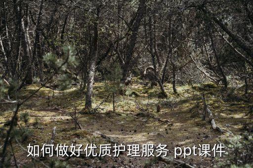 如何做好优质护理服务 ppt课件