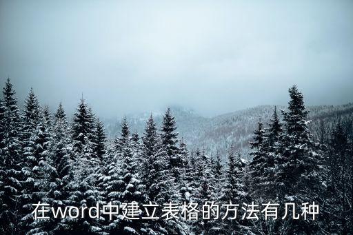 word文档建表格，怎么制Word作表格