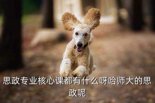 思政专业核心课都有什么呀哈师大的思政呢