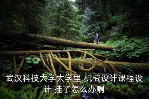 课程设计挂科了怎么办，问一下机电的童鞋课程设计挂了会怎样