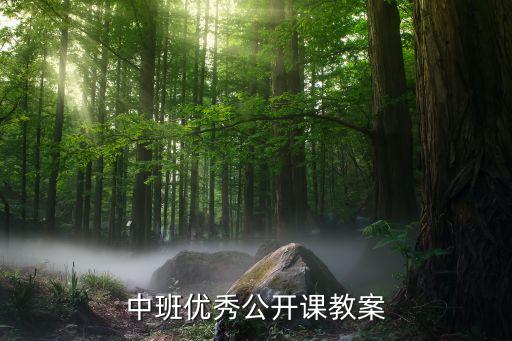 中班优秀公开课教案