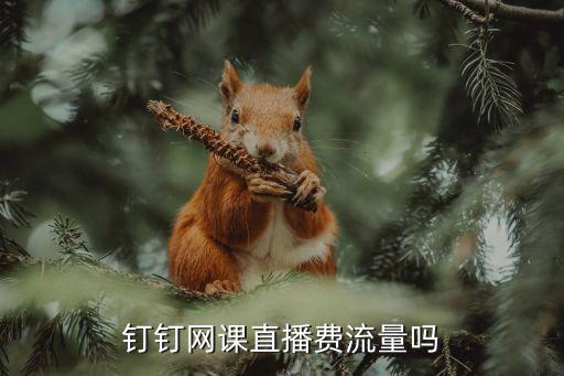钉钉网课直播费流量吗