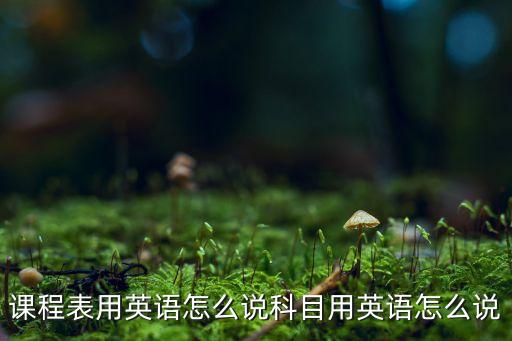 课程表用英语怎么说科目用英语怎么说