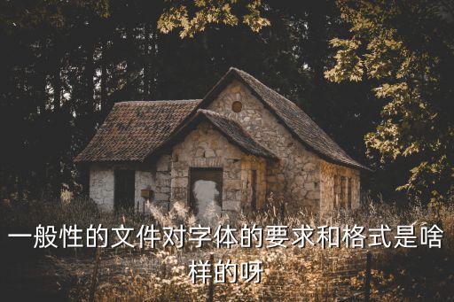 文本的字体格式，word文档字体格式