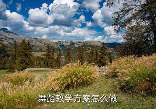 舞蹈教学方案怎么做