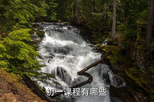 初一课程有哪些