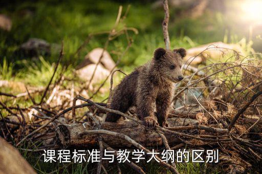 教学大纲和教案的区别，教学讲义和教案的区别