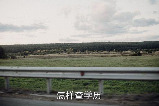 学信网学历查询入口，学信网上是中国最知名的学历查询网站吗
