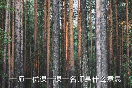 一师一优课一课一名师是什么意思