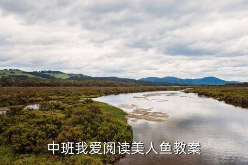 中班我爱阅读美人鱼教案