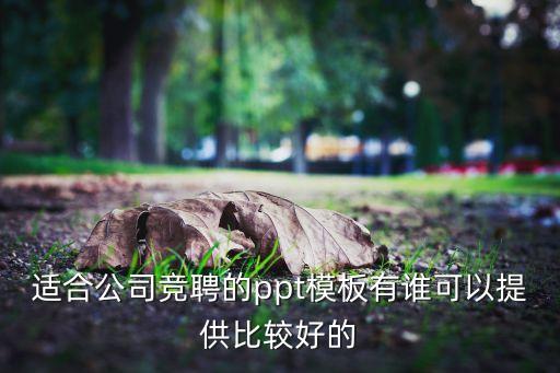 适合公司竞聘的ppt模板有谁可以提供比较好的