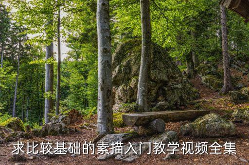 求比较基础的素描入门教学视频全集