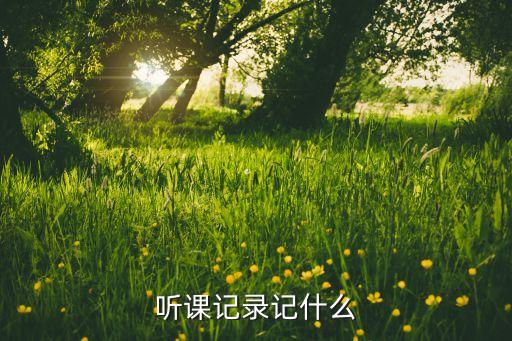 听课记录记什么