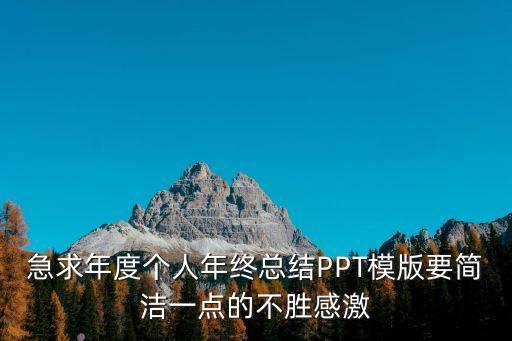 急求年度个人年终总结PPT模版要简洁一点的不胜感激