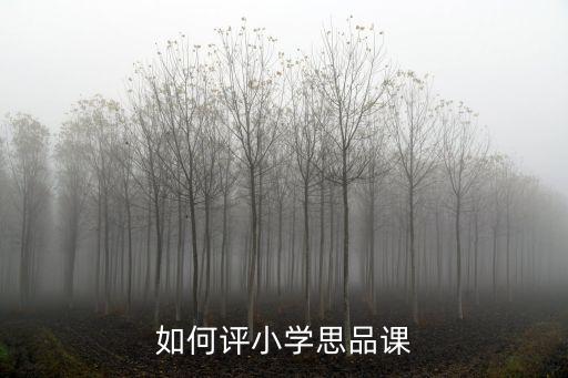 如何评小学思品课