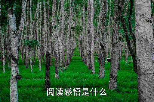 教案阅览心得感悟，阅读感悟是什么