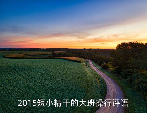 幼儿园备课检查记录评语大班，大班幼儿评语怎么写