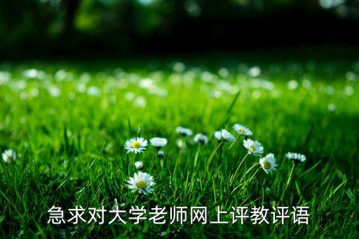 急求对大学老师网上评教评语