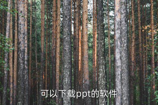 可以下载ppt的软件