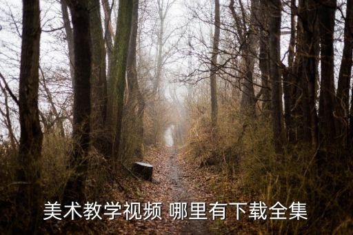 美术教学视频 哪里有下载全集