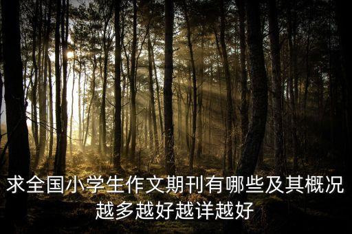 求全国小学生作文期刊有哪些及其概况越多越好越详越好