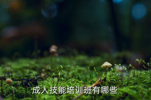 成人职业技能培训学校，职业技能培训哪所学校有