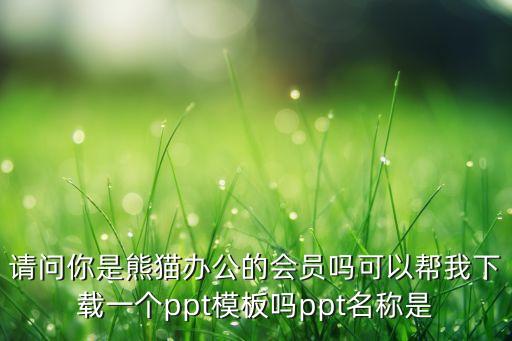 熊猫办公ppt模板下载用不了，PPT怎么下载不了啊