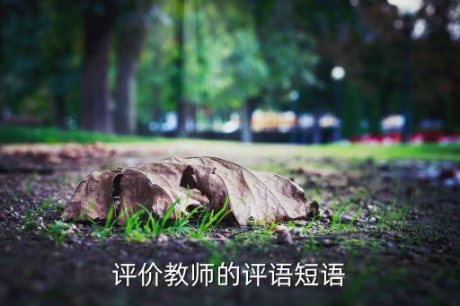 美术教师课堂评价语，写给美术老师的评语