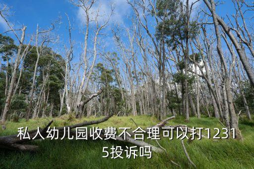 私人幼儿园收费不合理可以打12315投诉吗
