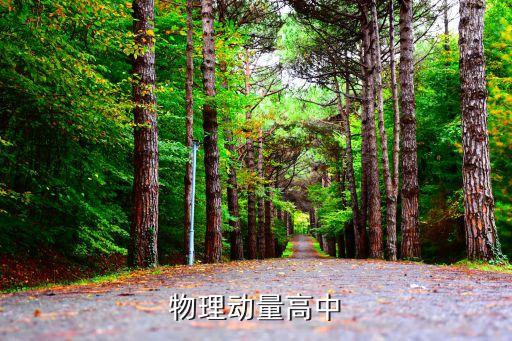 物理动量高中