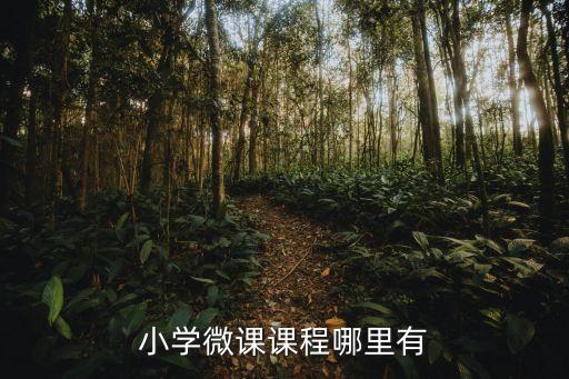 小学微课课程哪里有