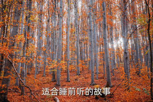 故事大全 睡前故事听故事，睡前小故事