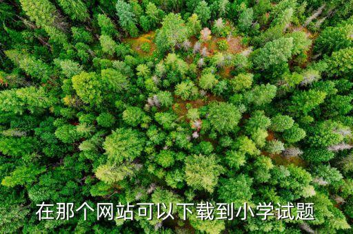在那个网站可以下载到小学试题