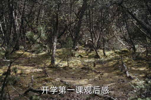 2022年秋季开学第一课心得，观巜开学第一课有感