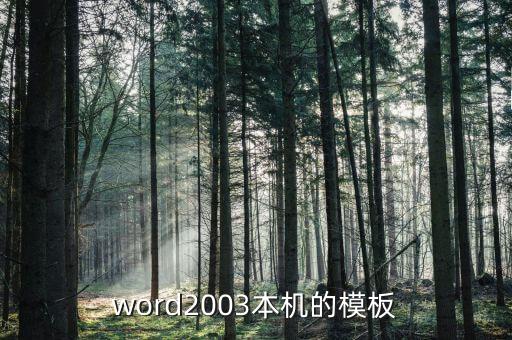word模版大全，谁能帮我做个word模版