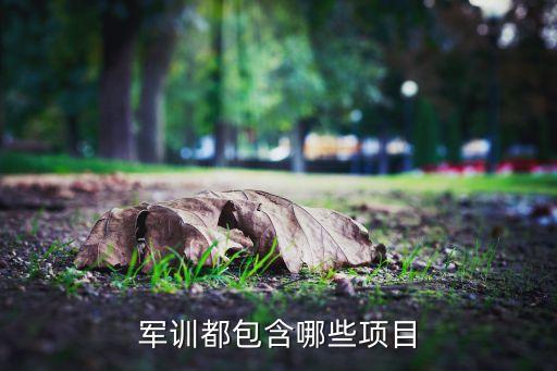 军训是什么实践项目，大学军训项目是什么