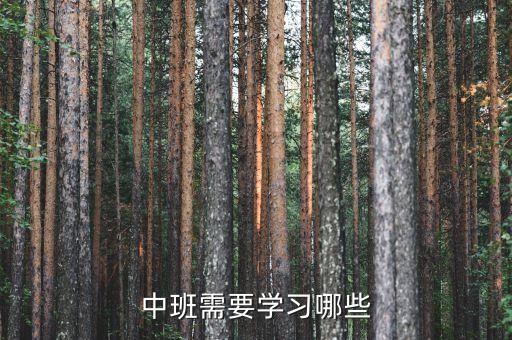 中班需要学习哪些