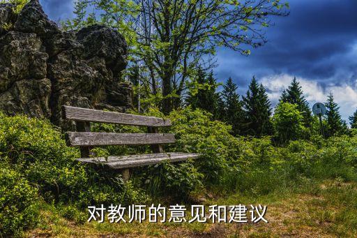 评职称学生对老师的评价意见，对教师的意见和建议