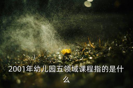 2001年幼儿园五领域课程指的是什么