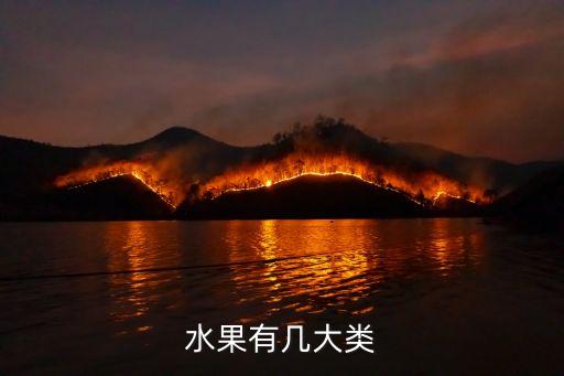 水果有几大类