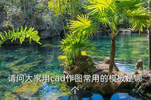 作图模板，请问大家用cad作图常用的模板是哪个