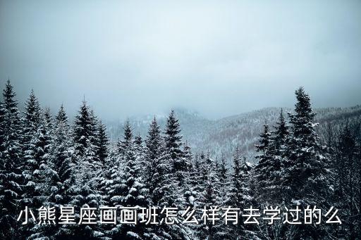 小熊星座画画班怎么样有去学过的么
